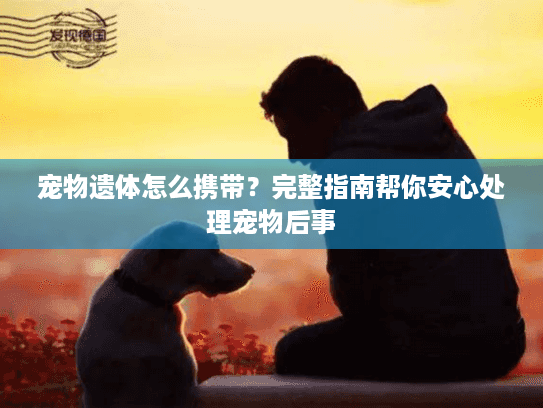 宠物遗体怎么携带？完整指南帮你安心处理宠物后事
