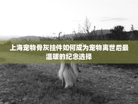 上海宠物骨灰挂件如何成为宠物离世后最温暖的纪念选择