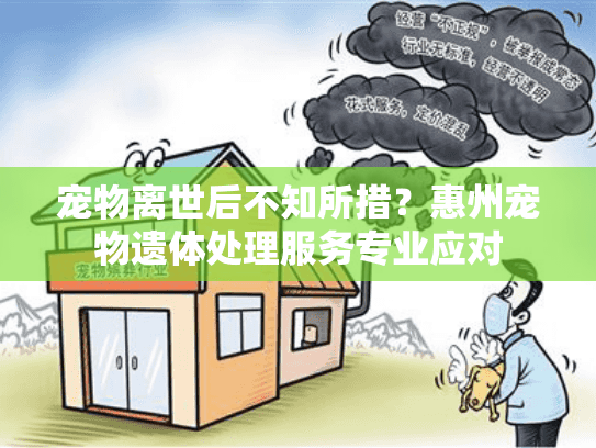 宠物离世后不知所措？惠州宠物遗体处理服务专业应对
