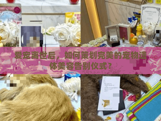 爱宠离世后，如何策划完美的宠物遗体美容告别仪式？
