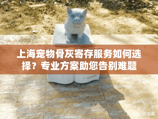 上海宠物骨灰寄存服务如何选择？专业方案助您告别难题