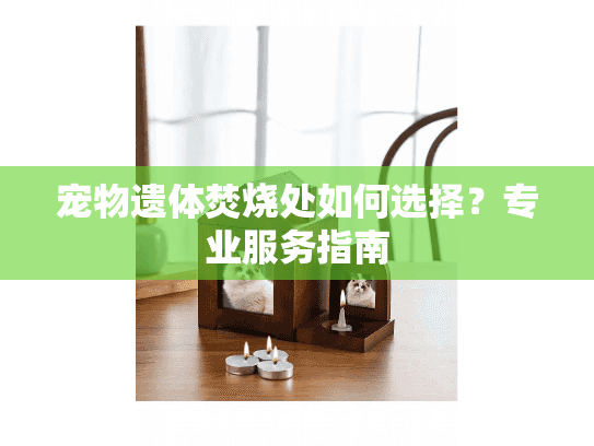 宠物遗体焚烧处如何选择？专业服务指南