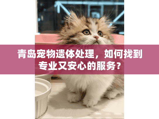 青岛宠物遗体处理，如何找到专业又安心的服务？