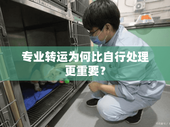 专业转运为何比自行处理更重要? 专业转运为何比自行处理更重要?