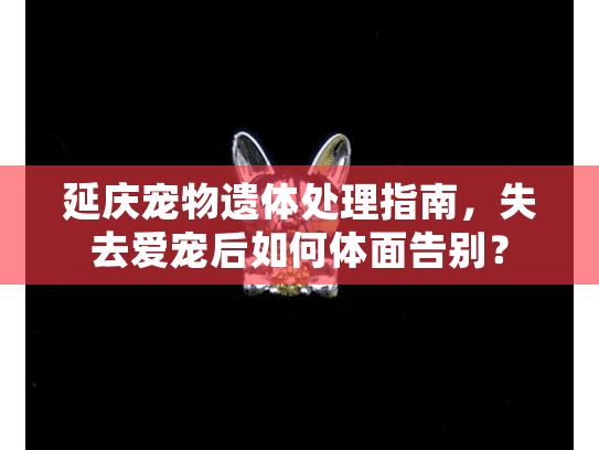 延庆宠物遗体处理指南，失去爱宠后如何体面告别？