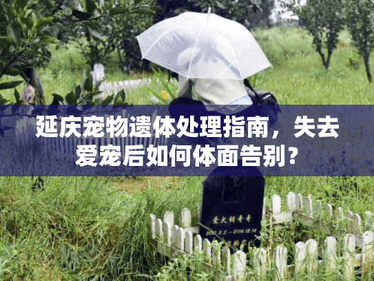 延庆宠物遗体处理指南，失去爱宠后如何体面告别？