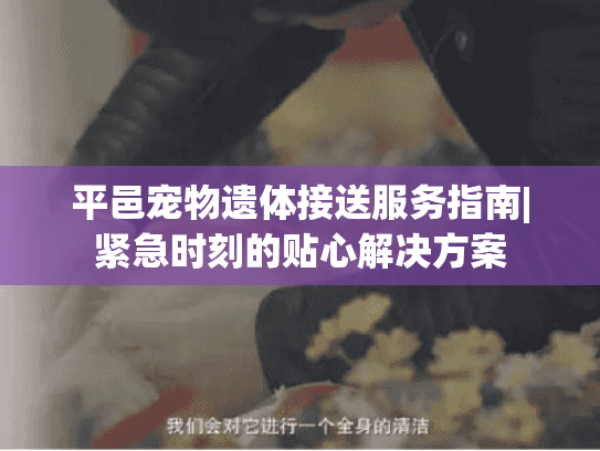 平邑宠物遗体接送服务指南|紧急时刻的贴心解决方案