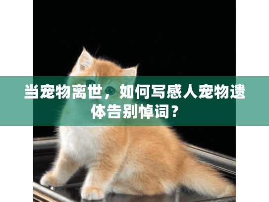 当宠物离世，如何写感人宠物遗体告别悼词？
