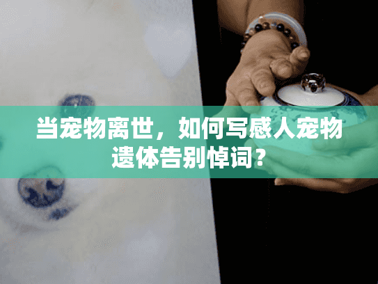 当宠物离世，如何写感人宠物遗体告别悼词？