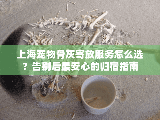 上海宠物骨灰寄放服务怎么选？告别后最安心的归宿指南