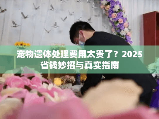 宠物遗体处理费用太贵了？2025省钱妙招与真实指南