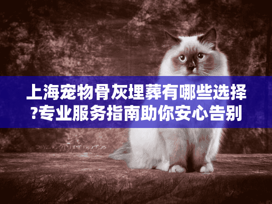 上海宠物骨灰埋葬有哪些选择?专业服务指南助你安心告别