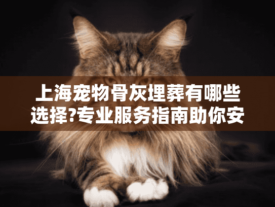 上海宠物骨灰埋葬有哪些选择?专业服务指南助你安心告别