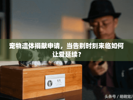 宠物遗体捐献申请，当告别时刻来临如何让爱延续？