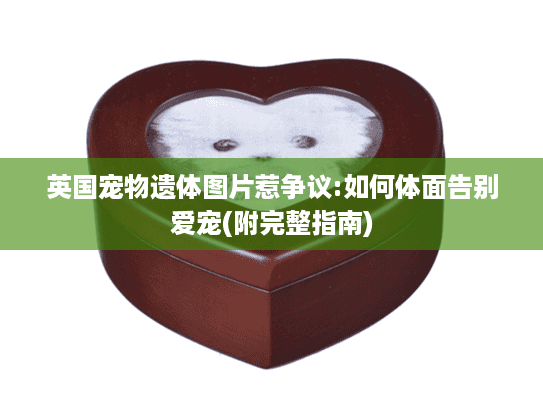 英国宠物遗体图片惹争议:如何体面告别爱宠(附完整指南)