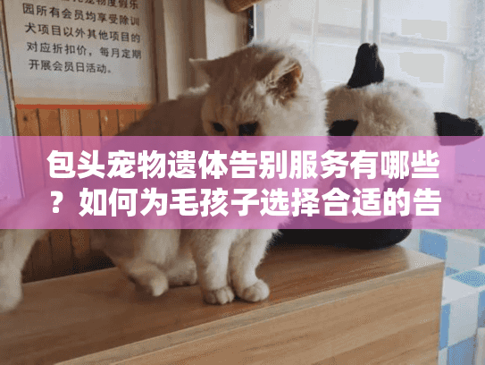 包头宠物遗体告别服务有哪些？如何为毛孩子选择合适的告别方式