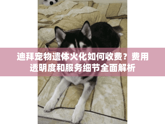 迪拜宠物遗体火化如何收费？费用透明度和服务细节全面解析