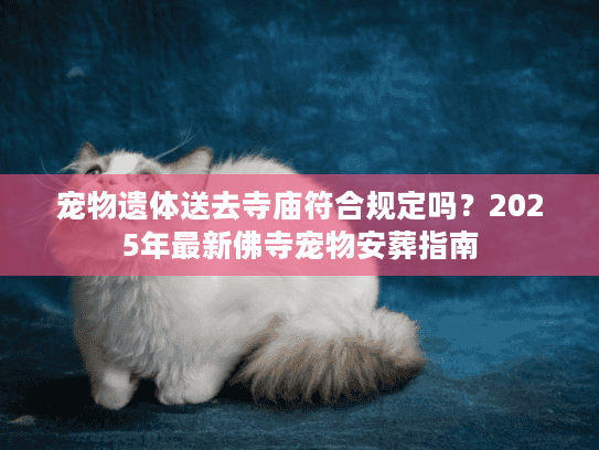 宠物遗体送去寺庙符合规定吗？2025年最新佛寺宠物安葬指南