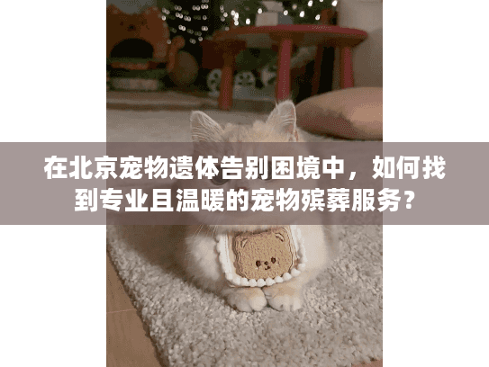 在北京宠物遗体告别困境中，如何找到专业且温暖的宠物殡葬服务？