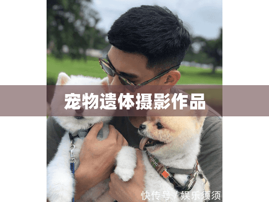 宠物遗体摄影作品