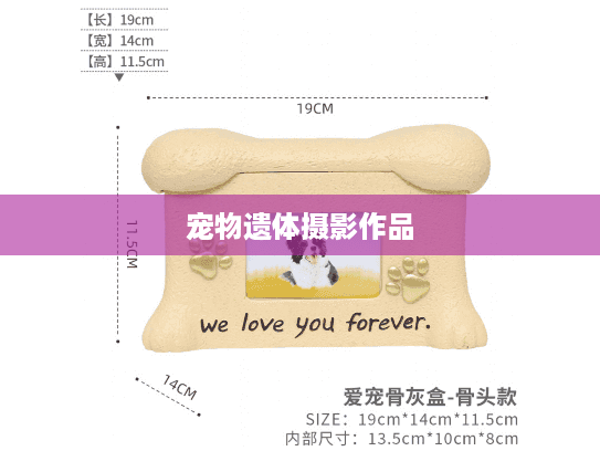 宠物遗体摄影作品