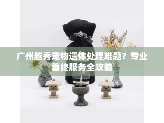 广州越秀宠物遗体处理难题？专业善终服务全攻略
