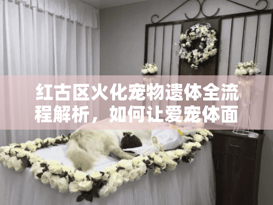红古区火化宠物遗体全流程解析，如何让爱宠体面告别？