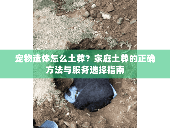 宠物遗体怎么土葬？家庭土葬的正确方法与服务选择指南