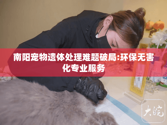 南阳宠物遗体处理难题破局:环保无害化专业服务