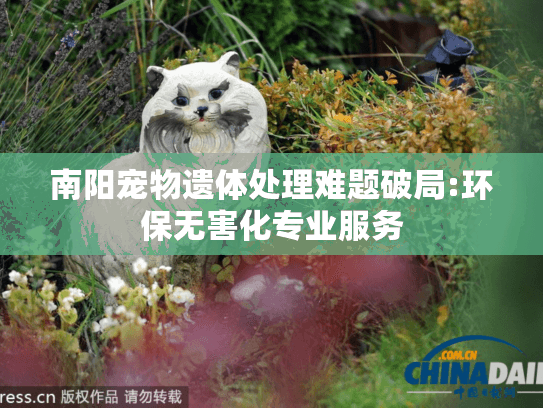 南阳宠物遗体处理难题破局:环保无害化专业服务