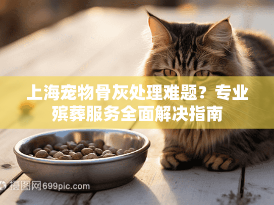 上海宠物骨灰处理难题？专业殡葬服务全面解决指南
