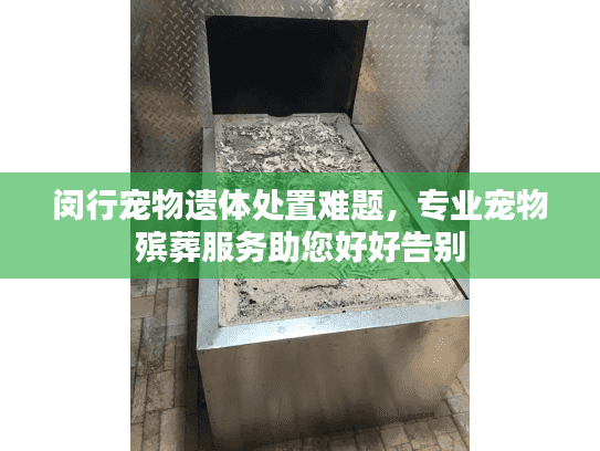 闵行宠物遗体处置难题，专业宠物殡葬服务助您好好告别