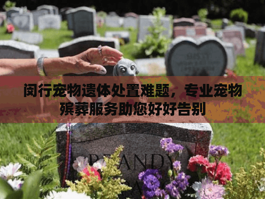 闵行宠物遗体处置难题，专业宠物殡葬服务助您好好告别