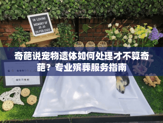 奇葩说宠物遗体如何处理才不算奇葩？专业殡葬服务指南