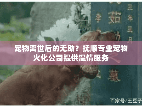 宠物离世后的无助？抚顺专业宠物火化公司提供温情服务