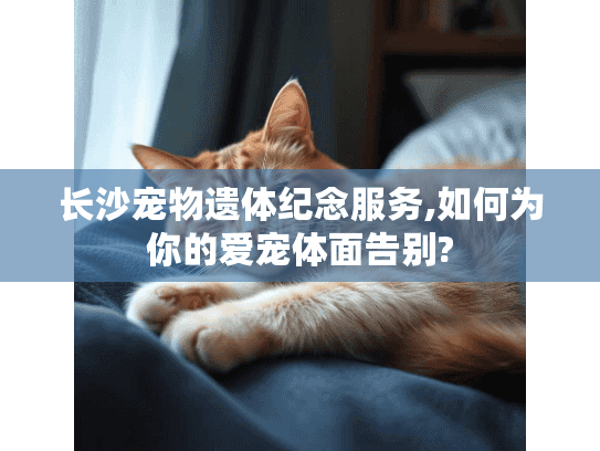 长沙宠物遗体纪念服务,如何为你的爱宠体面告别?
