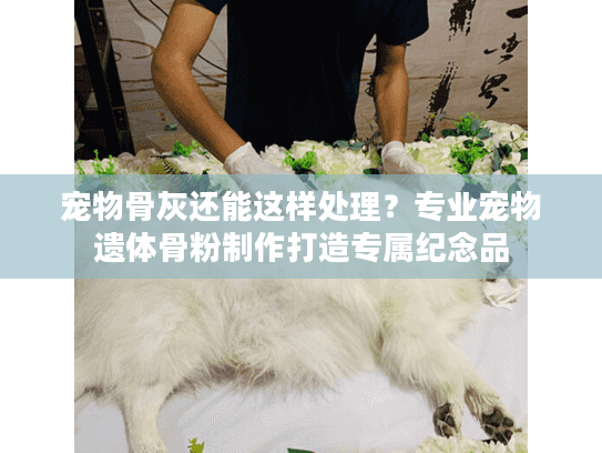 宠物骨灰还能这样处理？专业宠物遗体骨粉制作打造专属纪念品