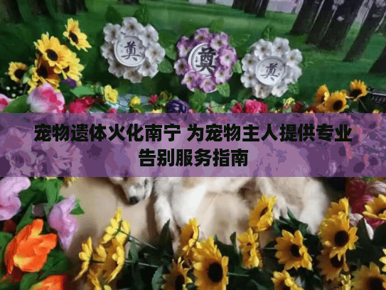 宠物遗体火化南宁 为宠物主人提供专业告别服务指南