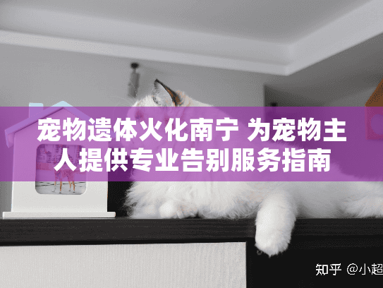 宠物遗体火化南宁 为宠物主人提供专业告别服务指南