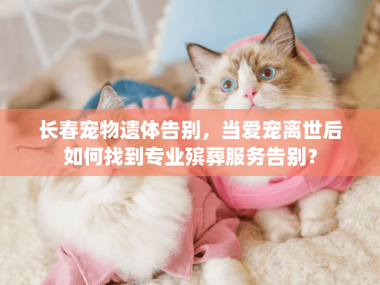 长春宠物遗体告别，当爱宠离世后如何找到专业殡葬服务告别？