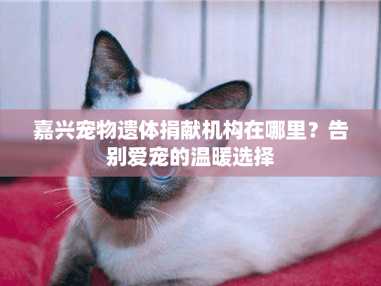 嘉兴宠物遗体捐献机构在哪里？告别爱宠的温暖选择