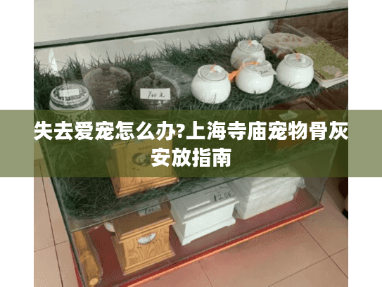 失去爱宠怎么办?上海寺庙宠物骨灰安放指南