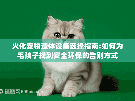 火化宠物遗体设备选择指南:如何为毛孩子找到安全环保的告别方式