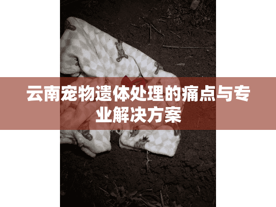 云南宠物遗体处理的痛点与专业解决方案