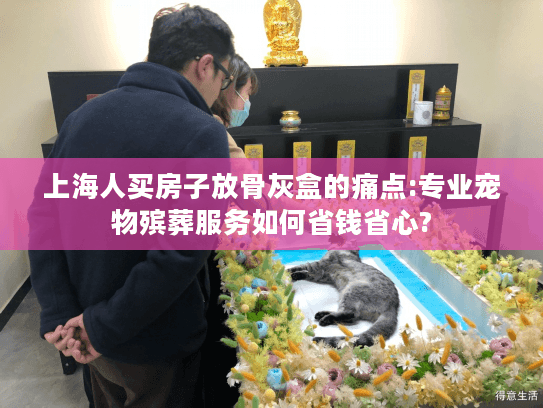 上海人买房子放骨灰盒的痛点:专业宠物殡葬服务如何省钱省心?