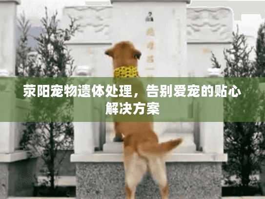 荥阳宠物遗体处理，告别爱宠的贴心解决方案