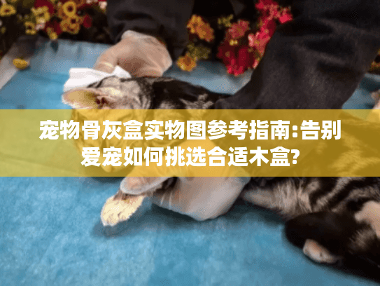 宠物骨灰盒实物图参考指南:告别爱宠如何挑选合适木盒?