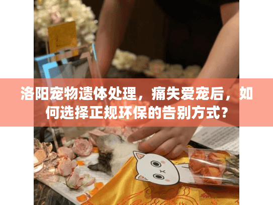 洛阳宠物遗体处理，痛失爱宠后，如何选择正规环保的告别方式？