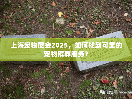 上海宠物展会2025，如何找到可靠的宠物殡葬服务？
