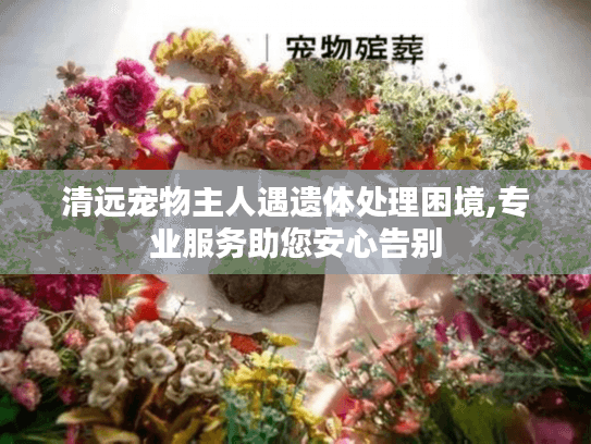 清远宠物主人遇遗体处理困境,专业服务助您安心告别